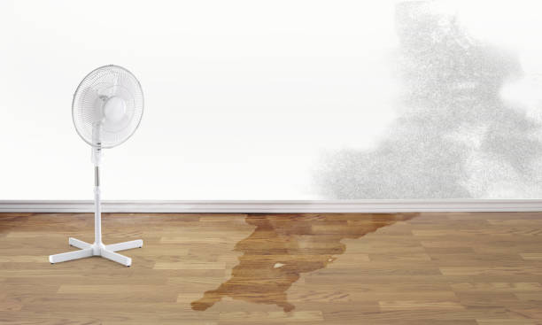 Best Local water damage restoration  in Union, OR