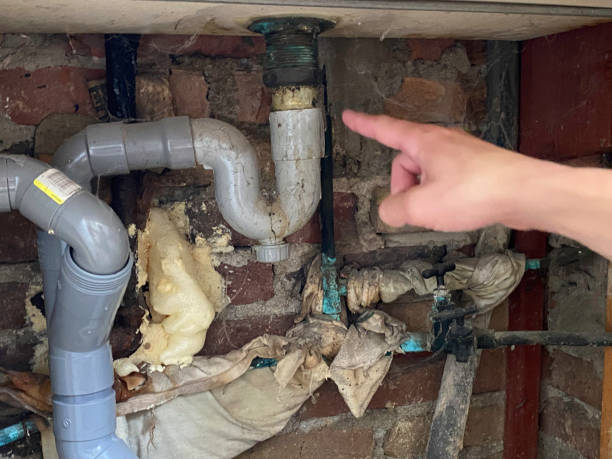 Best Professional water damage repair  in Union, OR